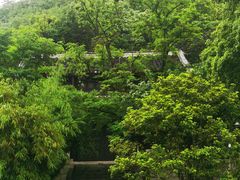 -阳明祠