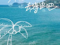 -广东惠东海龟国家级自然保护区