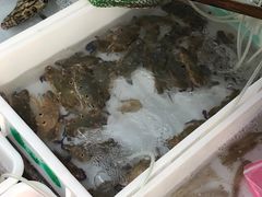 -八方海味餐厅