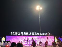 -沈阳奥体冰雪嘉年华