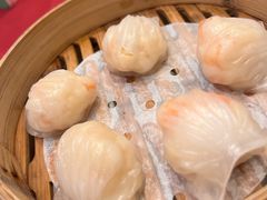 -北园酒家(小北路店)