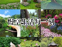 -云溪植物园