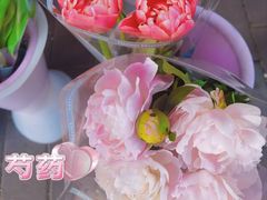 -宝鸡东道花鸟鱼虫市场(吉利花园商场店)