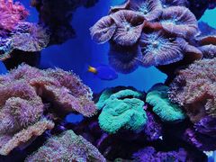 景点-上海海昌海洋公园