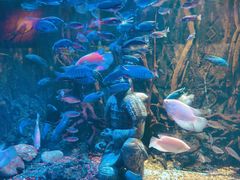 -华夏文旅海洋公园