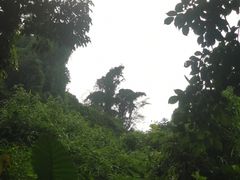 -海口火山口国家地质公园