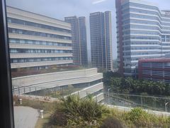 -厦门弘爱医院
