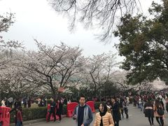 -武汉大学-樱园