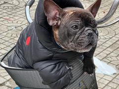 -UME影城(安贞DTS:X店)