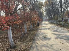 -凤凰沟景区