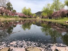 -石塘人家