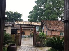 -温汤发糕(温汤店)