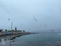 -星海广场