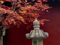 -护国法轮寺