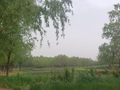 -东郊湿地公园