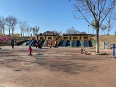 -大兴滨河森林公园