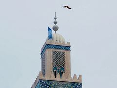 -哈桑二世清真寺