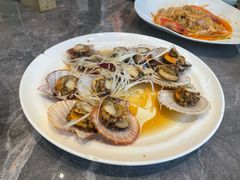 油泼扇贝-1937青岛老味道·海肠捞饭·青岛菜(大鲍岛栈桥店)