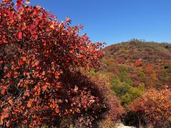 -北京西山国家森林公园