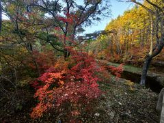 -本溪老边沟风景区