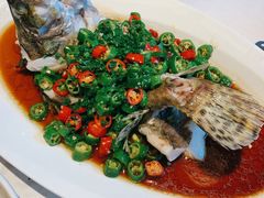 椒麻蒸桂花鱼-玫瑰厅上海菜(兴国路店)