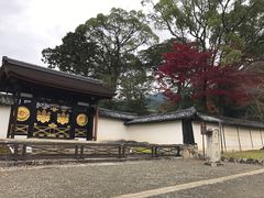 -醍醐寺