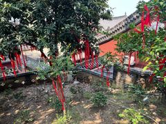 -长春观