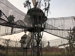 -黄帝千古情