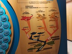 -青岛海底世界-水族馆