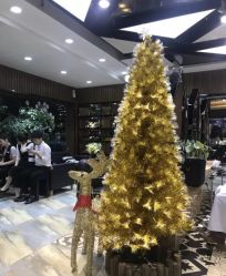 -永琪美容美发