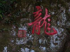 门面-十八棵（老龙井）御茶园(老龙井店)