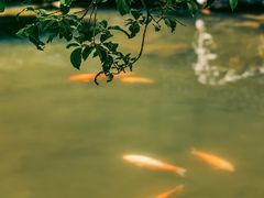 -浙江省博物馆(孤山馆区)