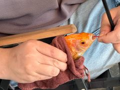 -粮心小农·大头虾亲子生态园(长发店)