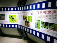 -上海昆虫博物馆