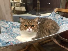 -小时光咖啡馆(开森度假森林店)