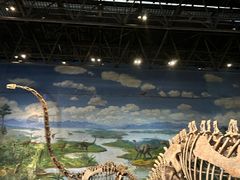 -自贡恐龙博物馆