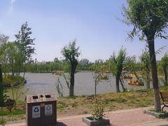 -杨柳青庄园