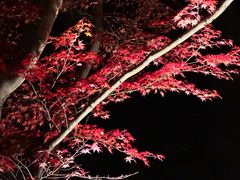 -醍醐寺
