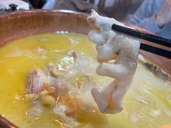 -鲜入围煮花胶鸡海鲜火锅