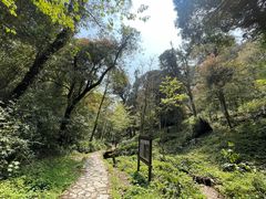 -云南屏边大围山国家公园