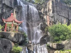 -金鸡山公园