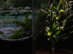 -中国湿地博物馆