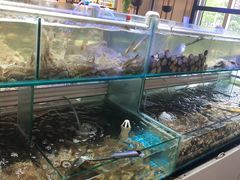-四海蒸鲜蒸汽海鲜自助(北戴河店)