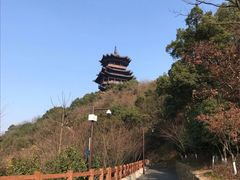 -杭州半山国家森林公园