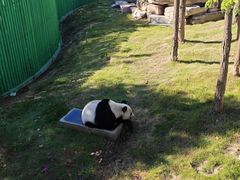 -西霞口神雕山野生动物世界