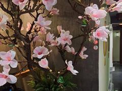 -新盈光·旗舰店(海曙苍松路店)