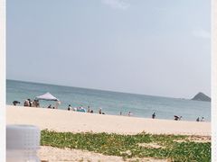 -西涌国际滨海旅游区