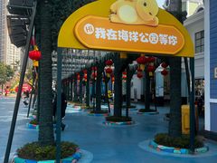-海合安成都极地海洋公园
