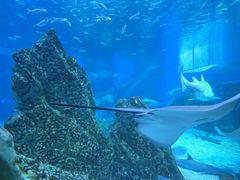 -海合安成都极地海洋公园