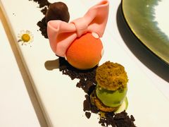 -蝶舍·MAISON PAPILLON